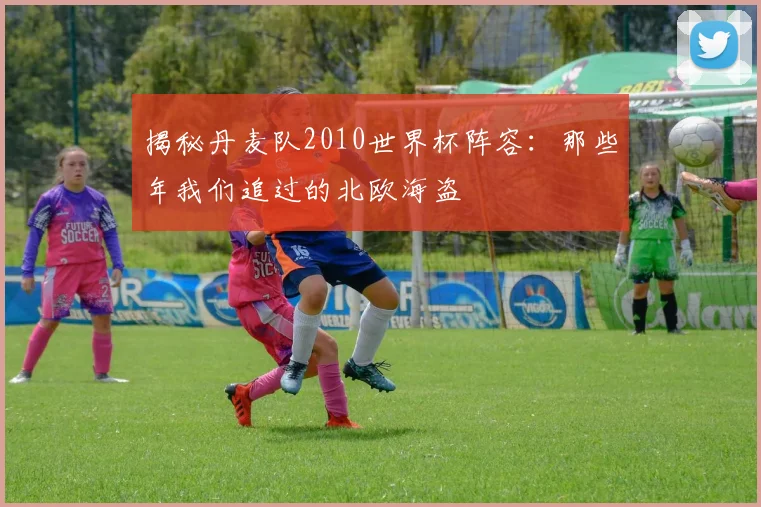 揭秘丹麦队2010世界杯阵容：那些年我们追过的北欧海盗