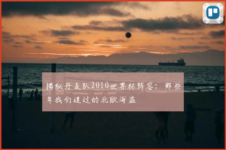 揭秘丹麦队2010世界杯阵容：那些年我们追过的北欧海盗