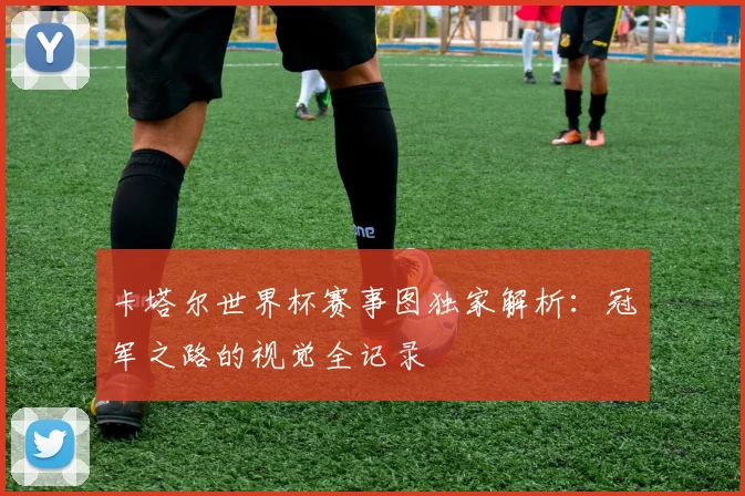 卡塔尔世界杯赛事图独家解析：冠军之路的视觉全记录