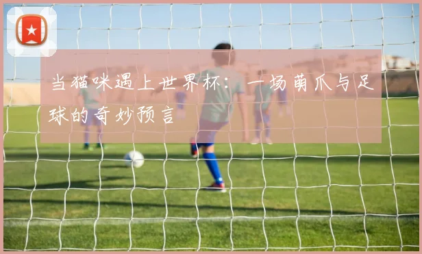 当猫咪遇上世界杯:一场萌爪与足球的奇妙预言
