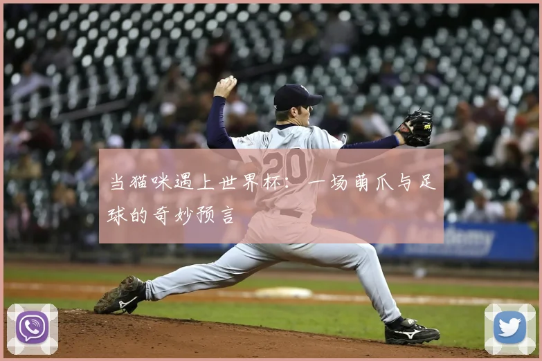 当猫咪遇上世界杯：一场萌爪与足球的奇妙预言