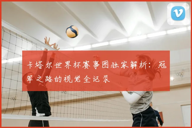 卡塔尔世界杯赛事图独家解析：冠军之路的视觉全记录