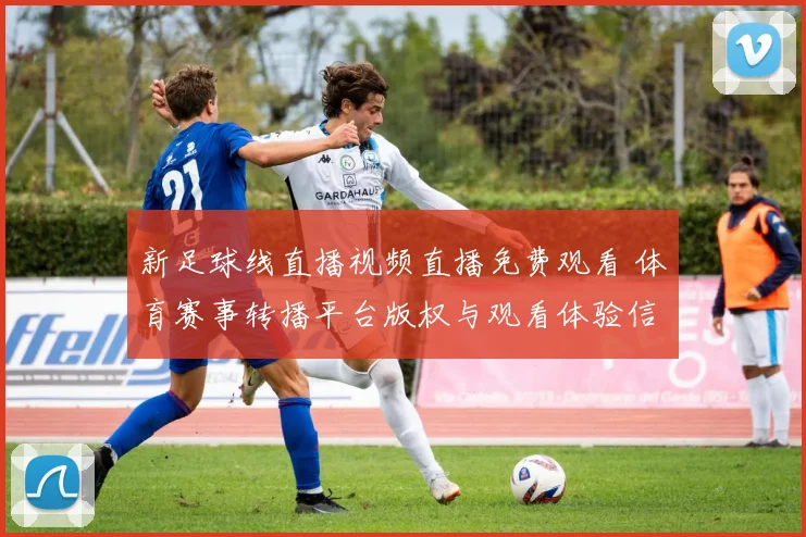 新足球线直播视频直播免费观看 体育赛事转播平台版权与观看体验信息整理